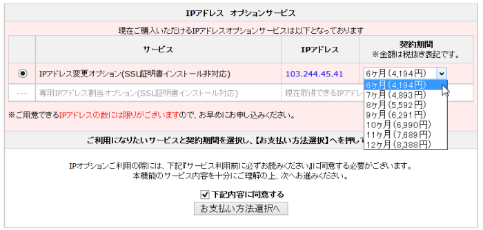 IPオプションサービス