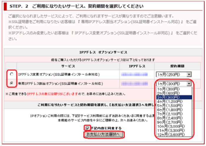 IPオプションサービス