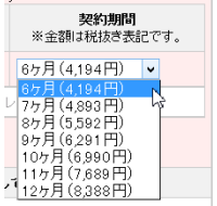 IPオプション価格 IPオプション価格