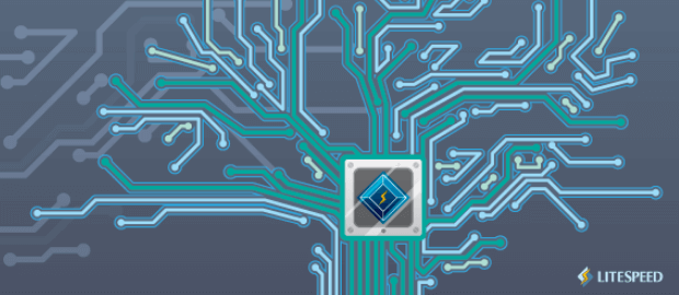 LiteSpeed Cache