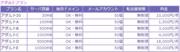 DIGITAL-SPACE SERVER SERVICE