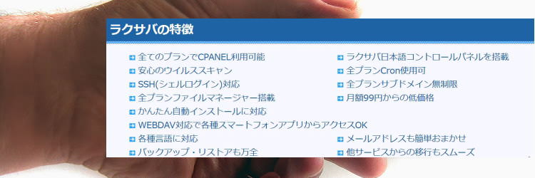 安くて性能が良い「ラクサバ」